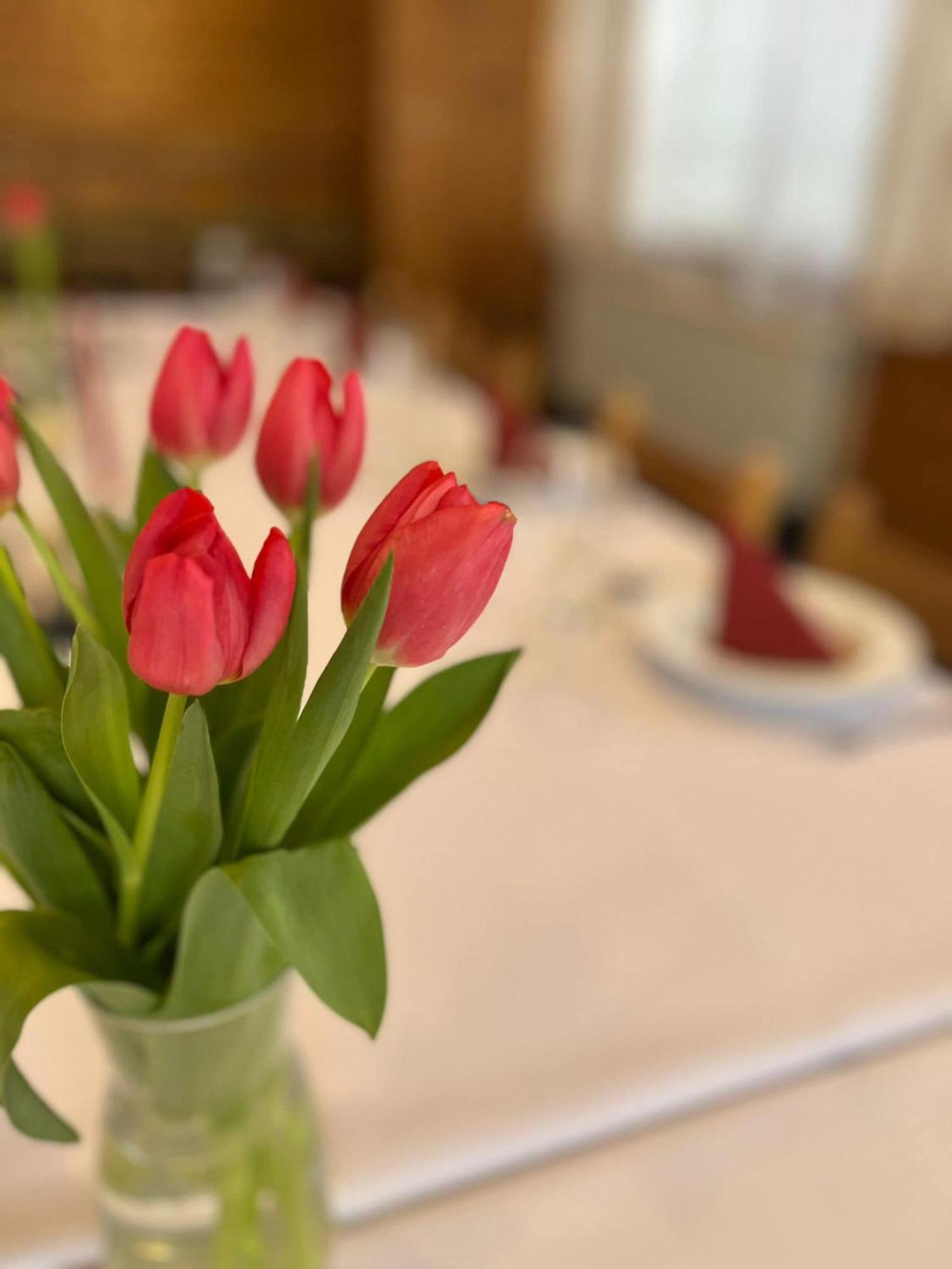 Hotel U Kociana Трояновице Экстерьер фото